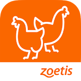 Zoetis Poultry App icon