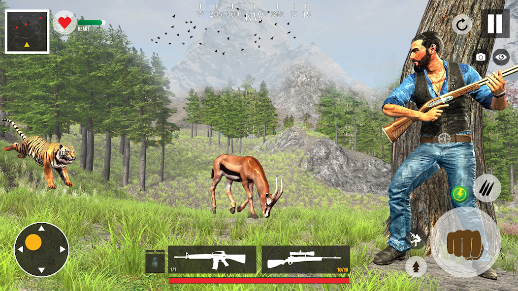 Animal Shooting Game Offline 4.0 APK + Mod (Unlimited money) for Android
