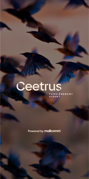 Ceetrus Connect - 1.0.3 - (Android)