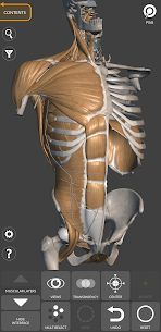 3D Anatomy for the Artist Mod Apk 2