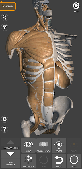 3D Анатомия для художников 4.2.8 APK + Мод (разблокирована) за Android