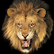 Lion Wallpaper HD + Keyboard - Androidアプリ