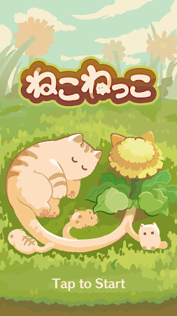 Game screenshot ねこねっこ hack