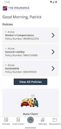 Insurance Professionals Online Screen 2