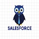 Salesforce Interview Q and A - Androidアプリ