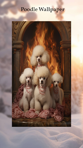 Poodle Wallpapers