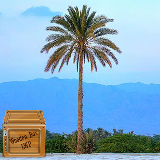 palm tree background logo