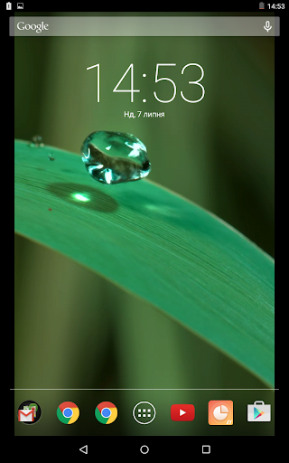 Morning Dew Live Wallpaper