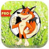 Football Facts by Smart Fox icon