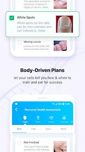 ShaeFit: Precision Fitness Screen 2