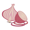 Live Onion Video Chat
