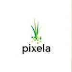Cover Image of ดาวน์โหลด Pixela Pay 1.0 APK