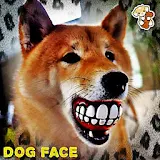 Your Dog Face icon