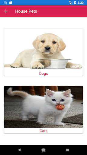 My Pets - Care & Guide Screen 3