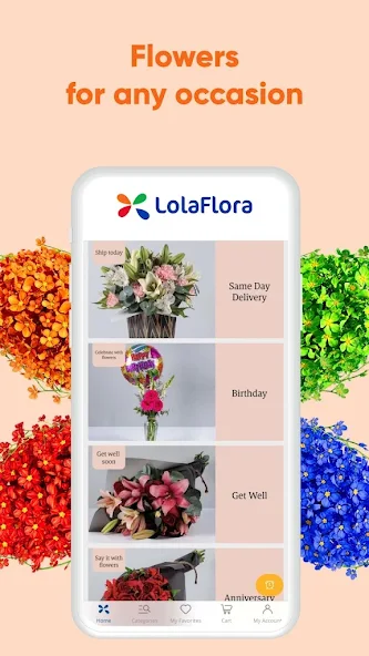 LolaFlora - Flower Delivery Display Captures 2