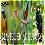 MASTER KICAU BURUNG TERLENGKAP icon