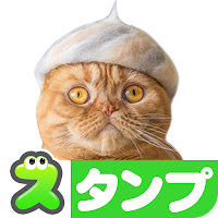Cats' Hair Hats Stickers