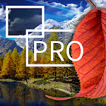 Cover Image of Download Autumn Leaf Fall Live Wallpaper 1.02 APK