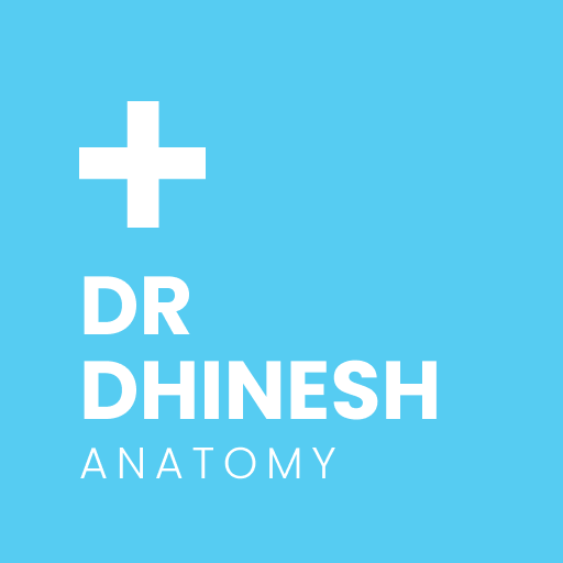 Anatomy By Dr. Dhinesh Kumar logo