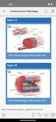 Android application STS Cardiothoracic Surgery screenshort