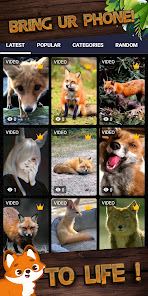 Imágen 2 fondo de zorro android