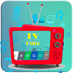 Cover Image of Tải xuống Ver Tv Tdt canales guía inicio 1.0.0 APK