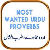 Most Wanted Urdu Proverbs icon
