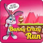 Cover Image of Baixar Bunny Crazy Run  APK