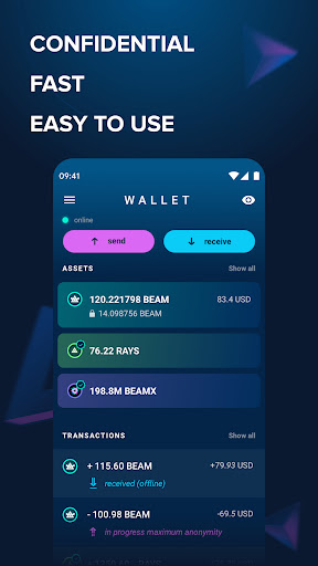 Android application Beam Wallet screenshort