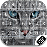 Cat Keyboard Theme icon