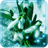 Early Spring icon