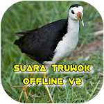 Cover Image of Download Suara burung truwok offline  APK