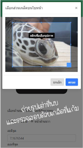 Android application คู่มือเต่าทะเล screenshort