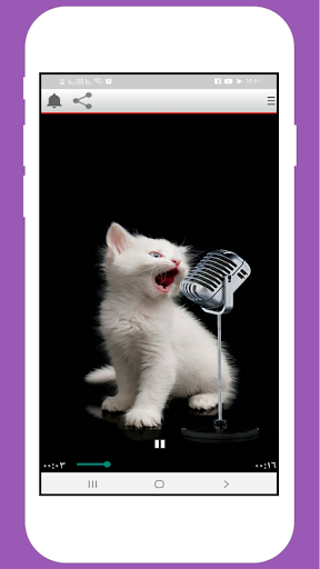 Android application Sounds Cats screenshort