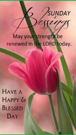 Everyday Blessings And Wishes Screen 3