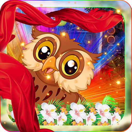 Audacious Owl Escape - Palani Games