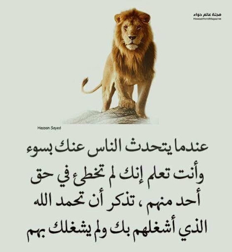 Android application حكم واقوال وامثال بدون انترنت screenshort