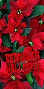 วอลล์เปเปอร์ดอกไม้สีแดง
