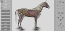 3D Horse Anatomyのおすすめ画像2