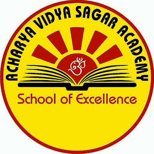 ACHARYA VIDYA SAGAR ACADEMY MA logo