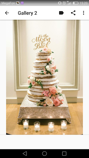 Wedding Cakes Screen 3