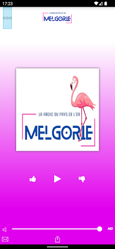 Android application Melgorie Radio screenshort
