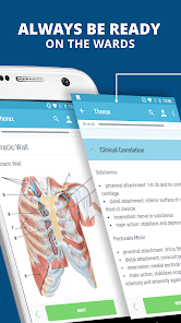 Captura 1 USMLE Clinical Anatomy android