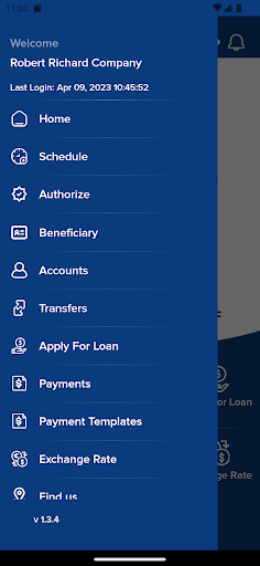 BCIMR Business Connect Screen 2