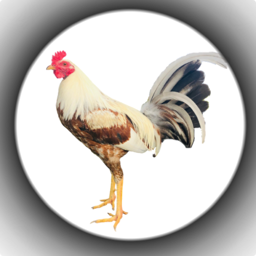 TGT Feed & Farm logo