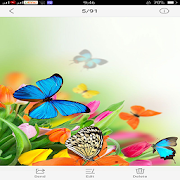 Flowers and Butterfly Themes  Icon