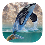Whale live wallpaper icon