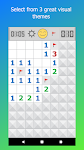 screenshot of Minesweeper Pro