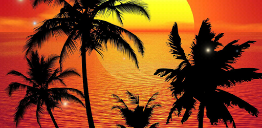 Tropical Live Wallpaper