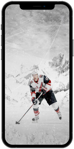 Arizona Coyotes Wallpapers 4K Screen 3